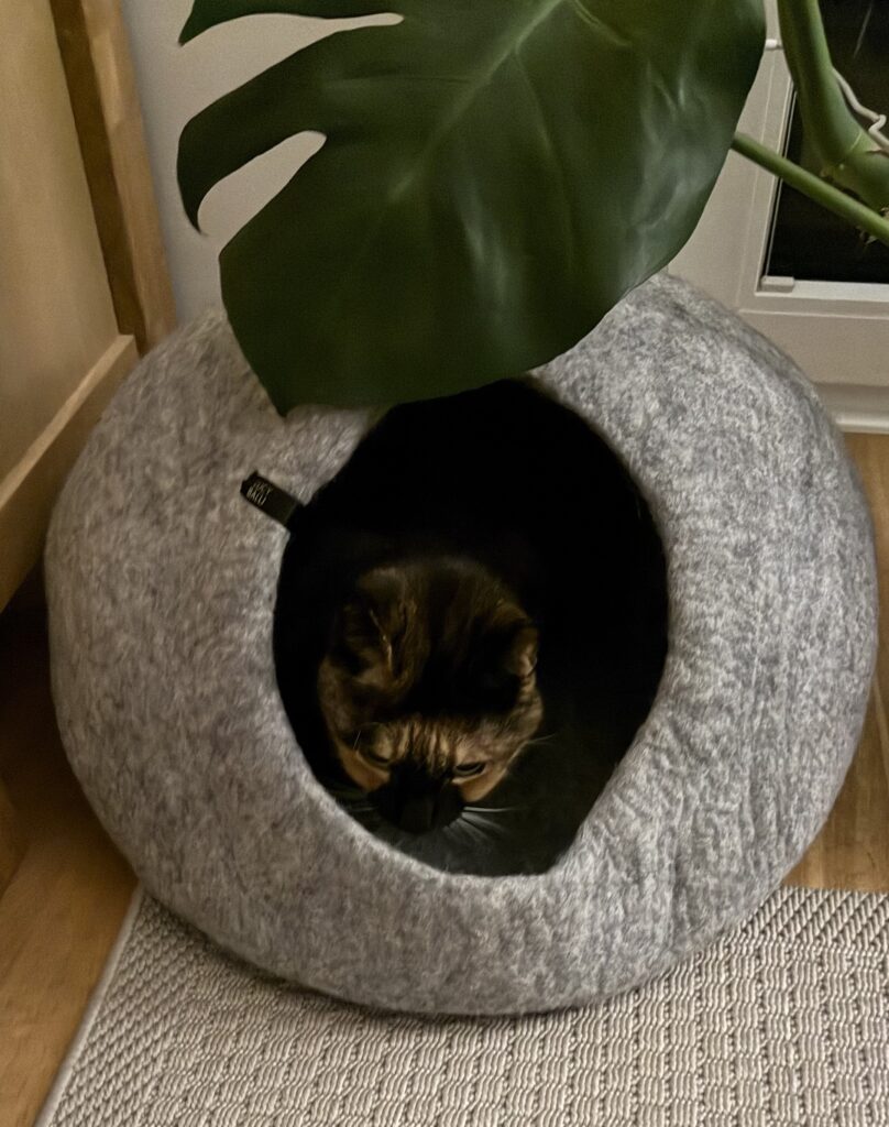 Unsere katze Minou in ihrer Filzhöhle